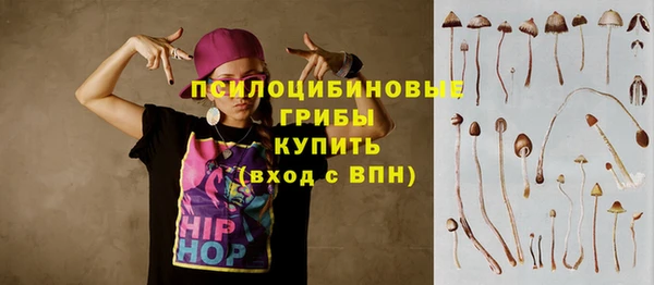 ГАЛЛЮЦИНОГЕННЫЕ ГРИБЫ Володарск