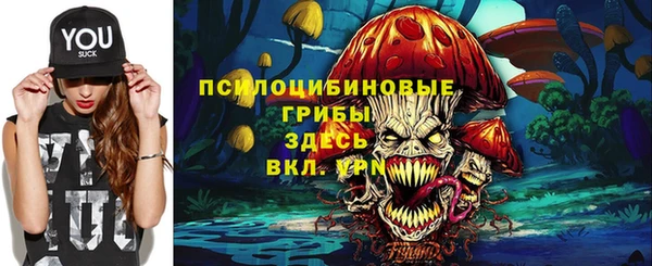 ГАЛЛЮЦИНОГЕННЫЕ ГРИБЫ Володарск