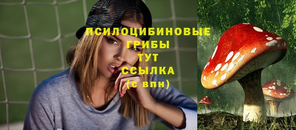 ГАЛЛЮЦИНОГЕННЫЕ ГРИБЫ Володарск