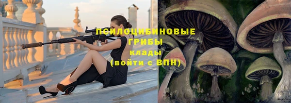 ГАЛЛЮЦИНОГЕННЫЕ ГРИБЫ Володарск