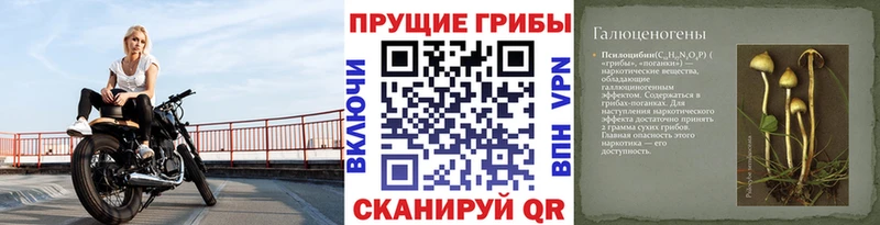 Галлюциногенные грибы прущие грибы  Купить где  Котлас 